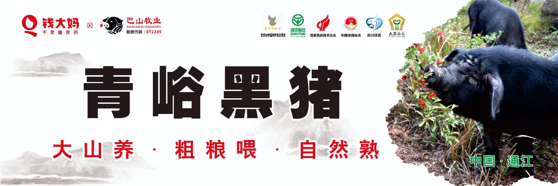 8月19日，青峪黑豬肉 正式在“錢大媽”重慶市場(chǎng)開賣