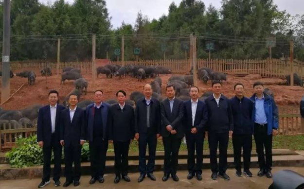 中國(guó)工商銀行黨委書記、董事長(zhǎng)易會(huì)滿一行來(lái)巴山牧業(yè)調(diào)研