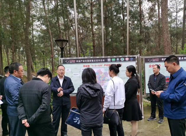 通江縣副縣長萬學(xué)成一行調(diào)研青峪豬加工生產(chǎn)情況